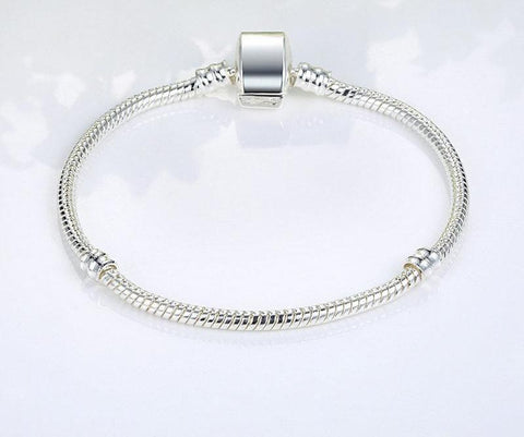 Silver Snake Chain Magnet Clasp